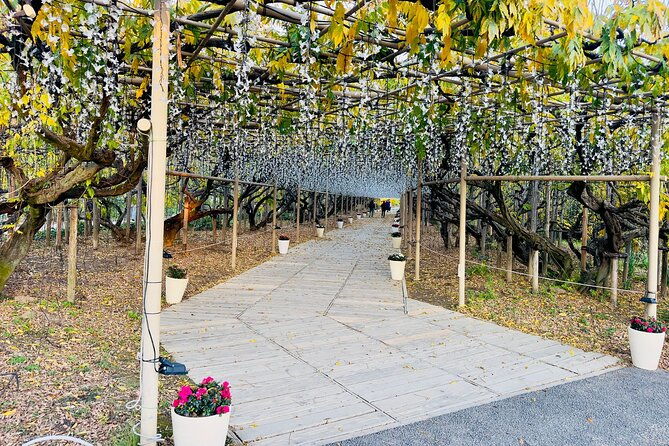 ashikaga-flowers-park-and-sano-outlets-private-day-tour