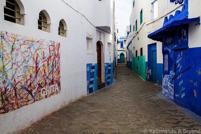 Asilah and Tangier Sightseeing Tour & Camel ride - The Camel Ride: An Unmissable Experience