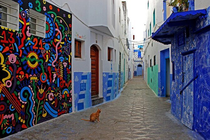 Asilah and Tangier Sightseeing Tour & Camel ride - Authenticity & Guides