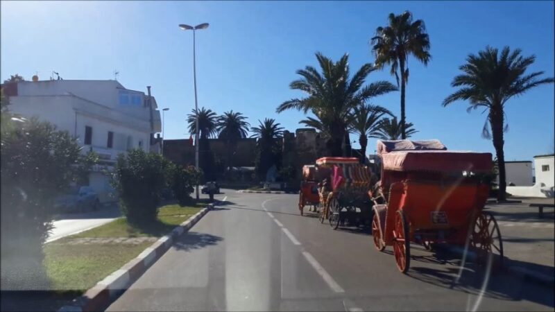 Asilah: Private Shore Excursion From Tangier - A Closer Look at the Asilah Shore Excursion