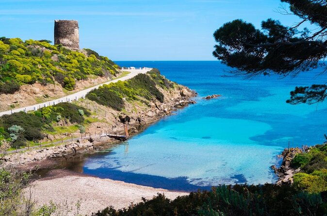 asinara-full-day-sailboat-tour-from-stintino