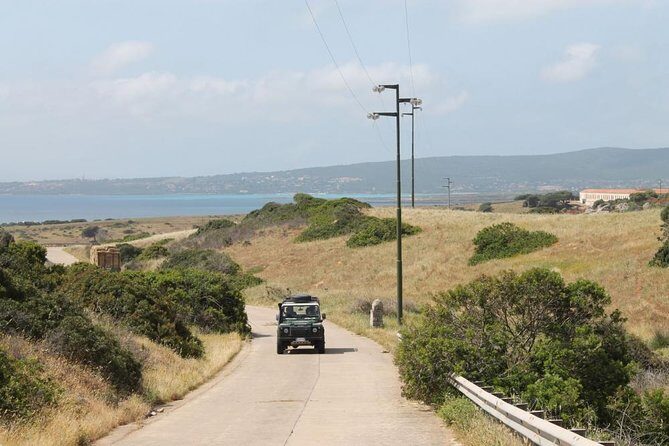 ASINARA ISLAND-TOUR full day Minivan in the National Park - The Sum Up: Who Will Love This Tour?