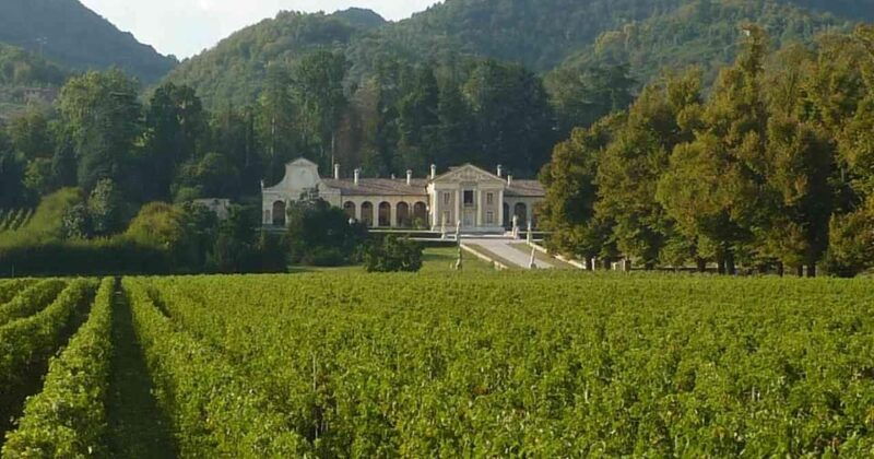 asolo-prosecco-and-art-private-tourtaste-with-sommelier