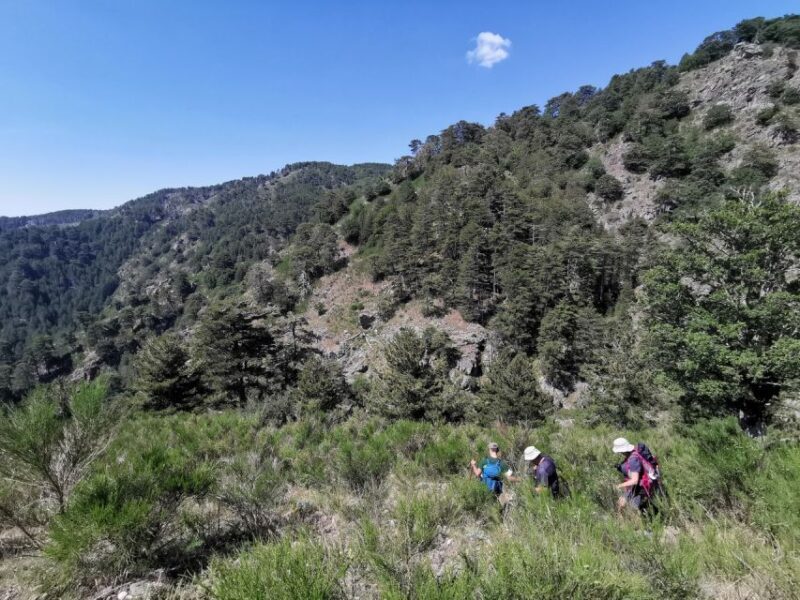 Aspromonte National Park: Private Trek to the Maesano Falls - Who Is This Tour Best For?