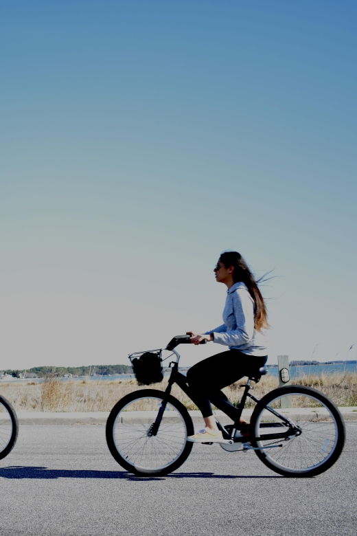 assateague-island-bicycle-rental-from-the-visitor-center