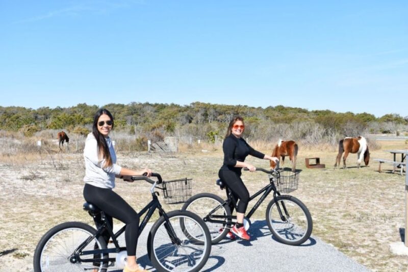 Assateague Island: Bike Rental from the Bayside Stand - Key Points  