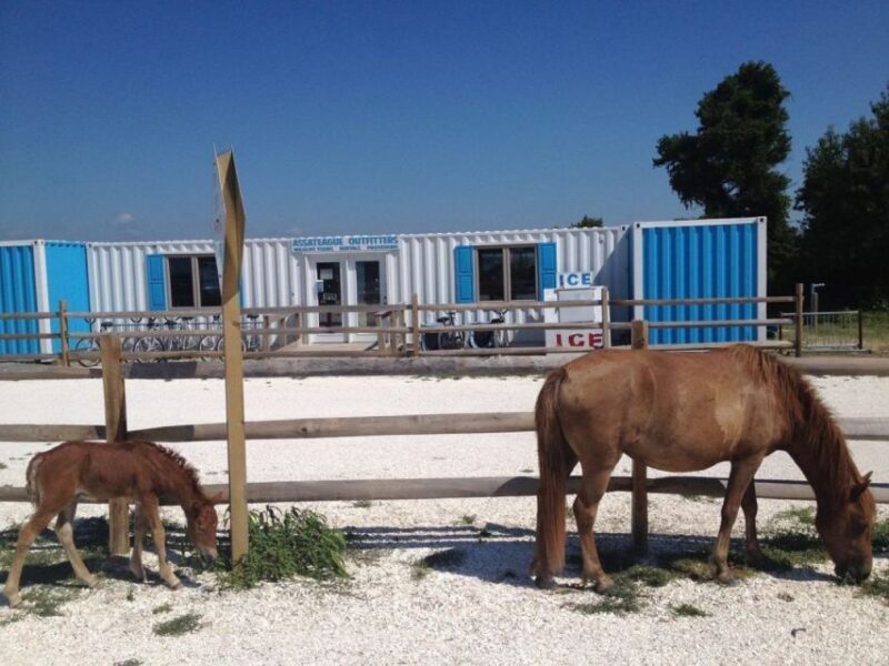 Assateague Island: Bike Rental from the Bayside Stand - Duration and Flexibility  