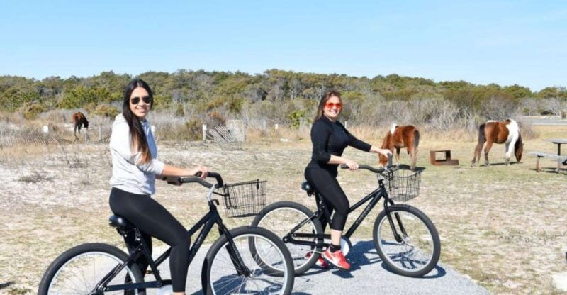 assateague-island-bike-rental-from-the-bayside-stand