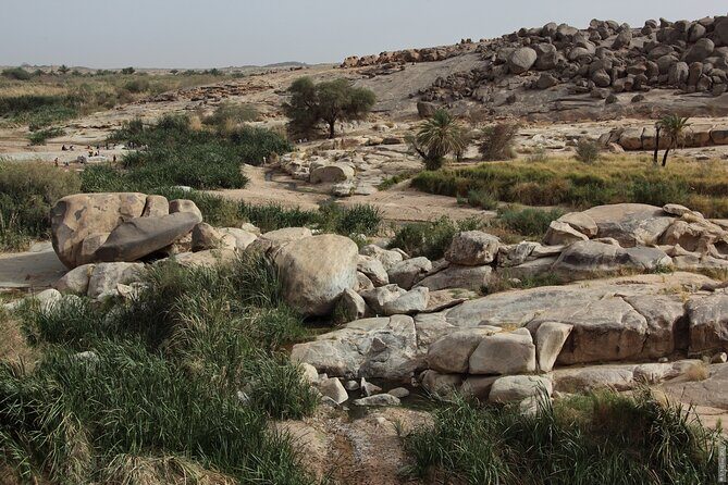 Assekrem & Hoggar Mountains: 6-Day Sahara Expedition - Summary: Who is This Tour Best For?