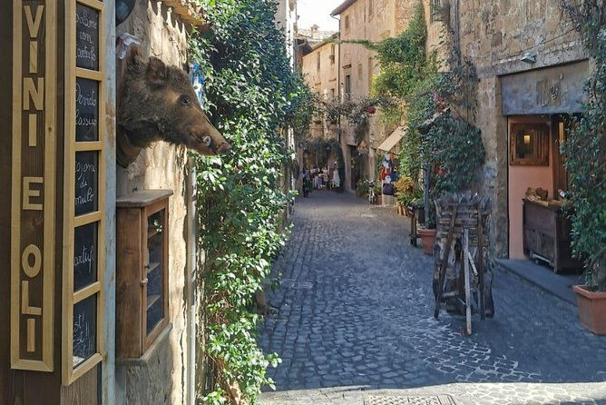 assisi-and-s-francis-basilicas-day-tour-from-rome