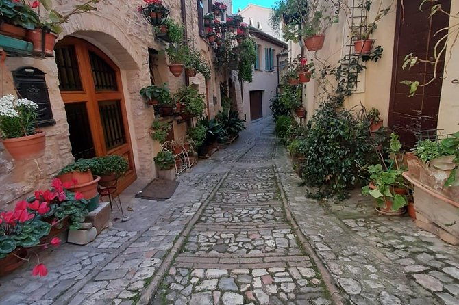 assisi-and-spello-full-day-private-walking-tour-2