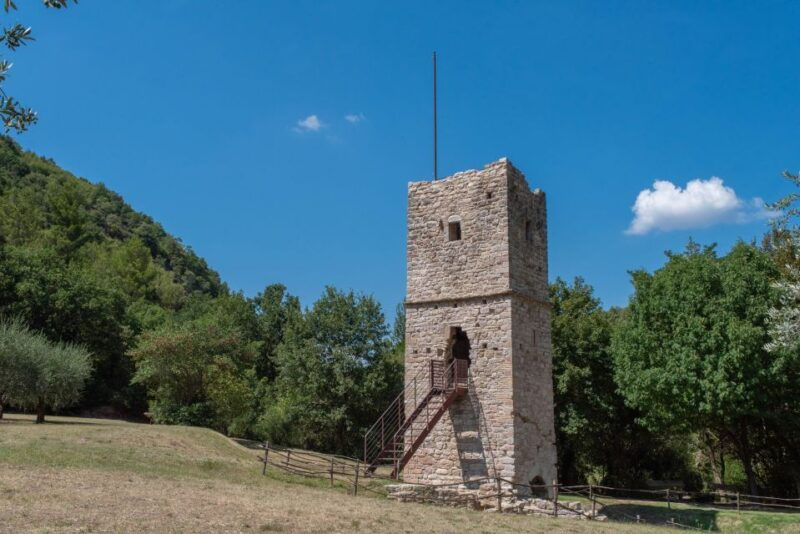 assisi-bosco-di-san-francesco-entry-ticket