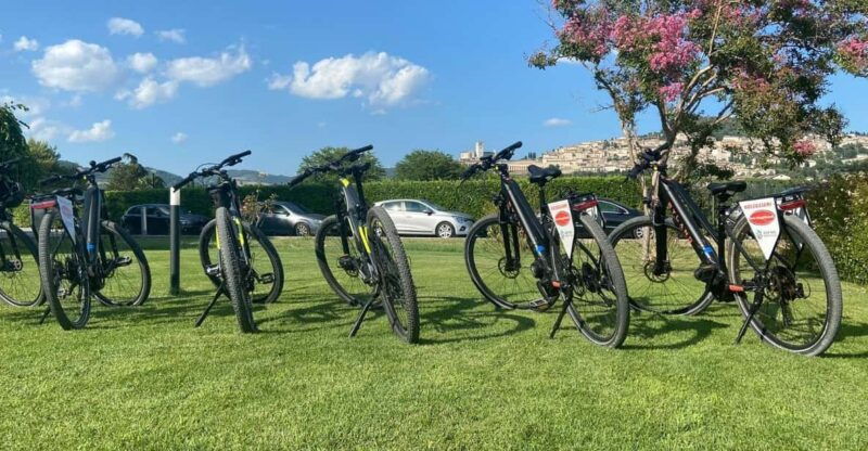 assisi-to-spello-bike-wine-tour