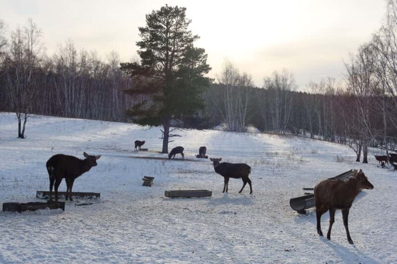 Astana: Burabay Nature, Wine, Cheese, and Horseback Ride - A Day of Natural Beauty and Local Flavors