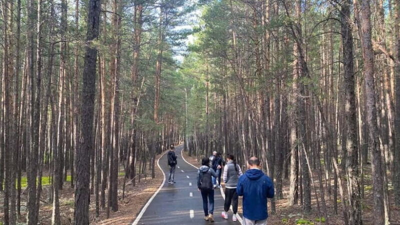 Astana: Burabay Oasis National Park Adventure - Key Points