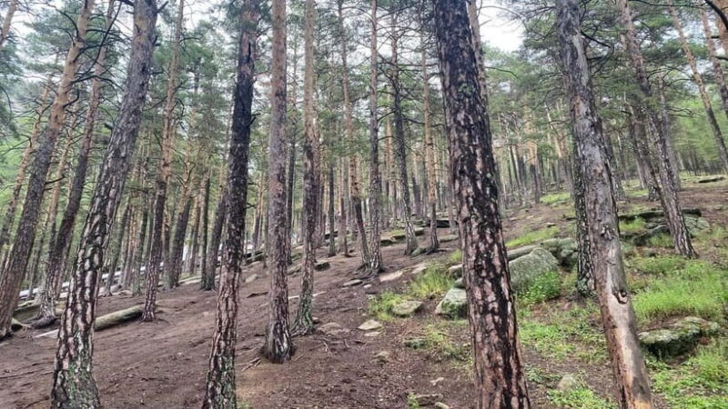 Astana: Private City Tour and Burabay National Park bundle - FAQ