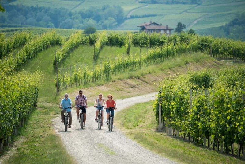 Asti Island: E-Bike & Wine Tasting Experience - Key Points