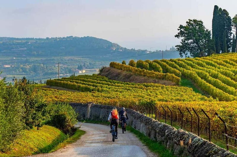 Asti Island: E-Bike & Wine Tasting Experience - Exploring the Experience: What to Expect