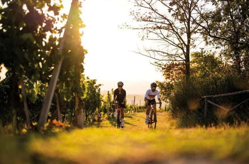 Asti Island: E-Bike & Wine Tasting Experience - The Sum Up