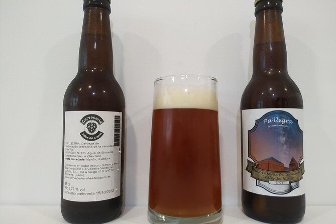 astorga-brewery-visit-to-the-artisan-beer-factory-in-brimeda