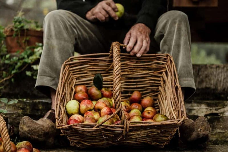 Asturias: Cider, Local lunch, Villaviciosa, Tazones, Laboral - A Complete Breakdown of the Asturias Day Trip Experience