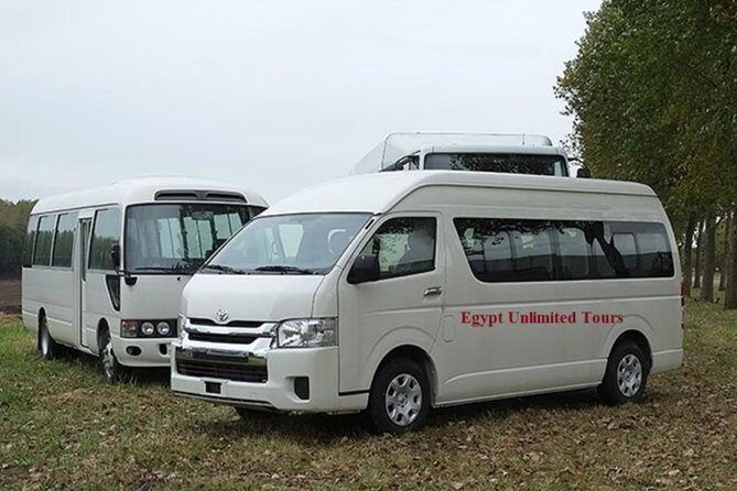Aswan Airport Private Departure Transfer - The Experience in Detail