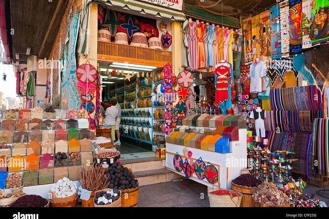 Aswan City Tour With Private Transfer and Live Guide - An In-Depth Look at the Aswan City Tour