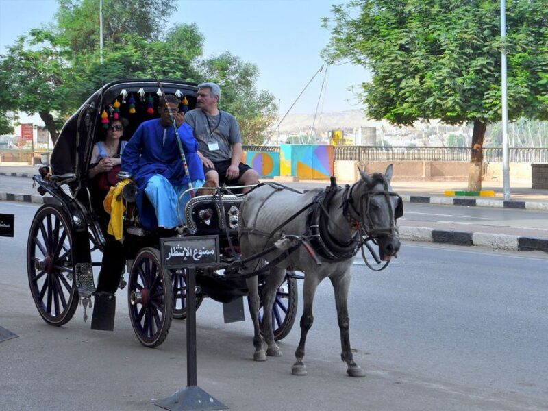 Aswan: Private Horse & Carriage City Tour with Hotel Pickup - Key Points