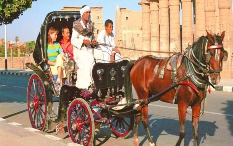 Aswan: Private Horse & Carriage City Tour with Hotel Pickup - Why You’ll Love This Tour