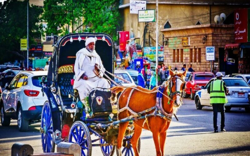 Aswan: Private Horse & Carriage City Tour with Hotel Pickup - The Value & Practicalities