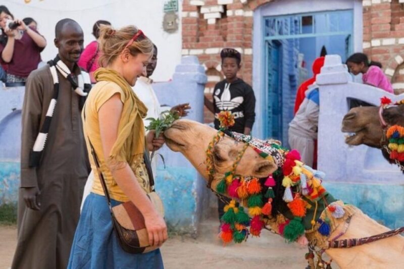 Aswan: Private Tour to Soheil Island and Nubian Village - What Travelers Say