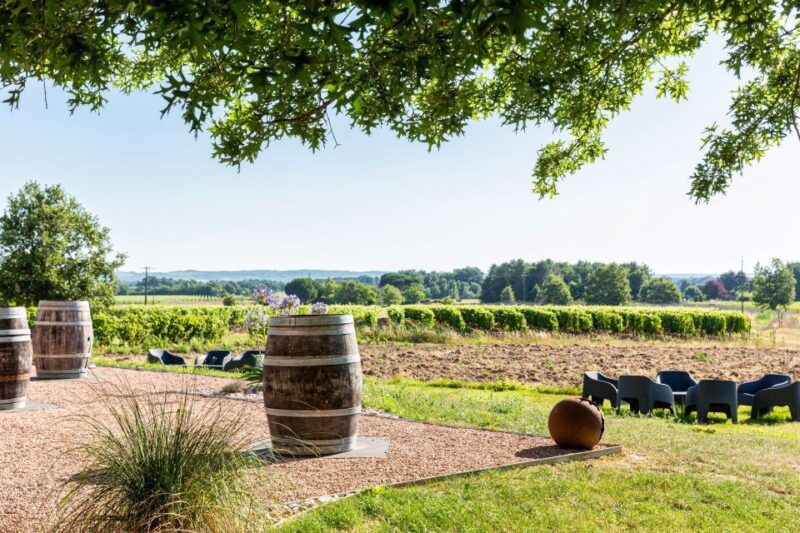 At the gates of Toulouse: from the vine to the cellar - Key Points