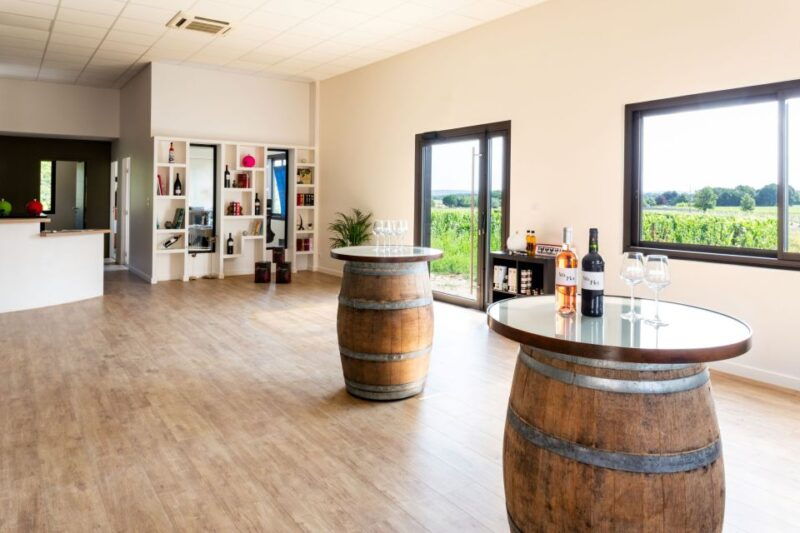 At the gates of Toulouse: from the vine to the cellar - Who Would Love This Experience?