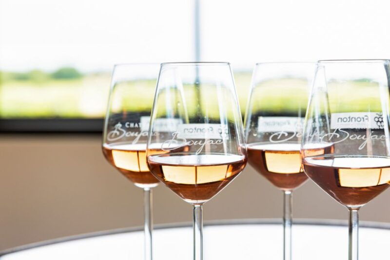 at-the-gates-of-toulouse-gourmet-tour