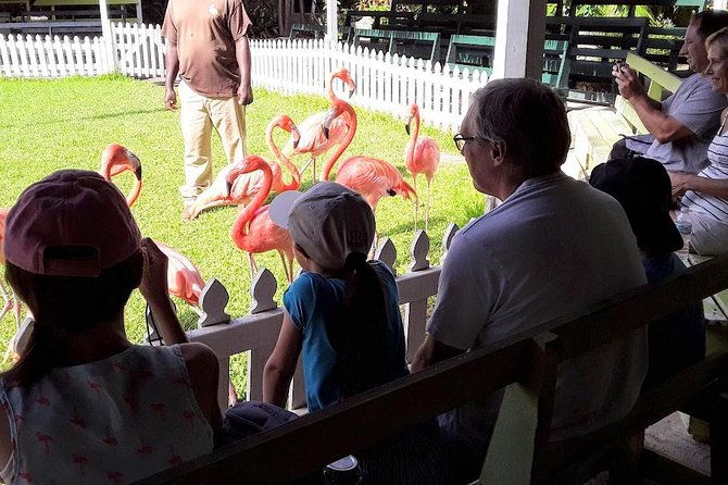 at-your-pace-private-tours-nassau-bahamas