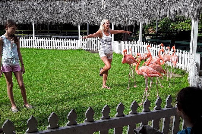 at-your-pace-private-tours-nassau-bahamas