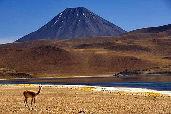 atacama-desert-program-4-days-3-nights