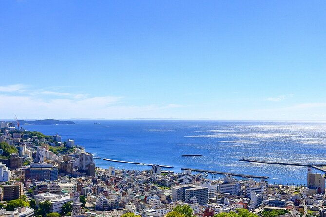 atami-half-day-private-tour-with-government-licensed-guide
