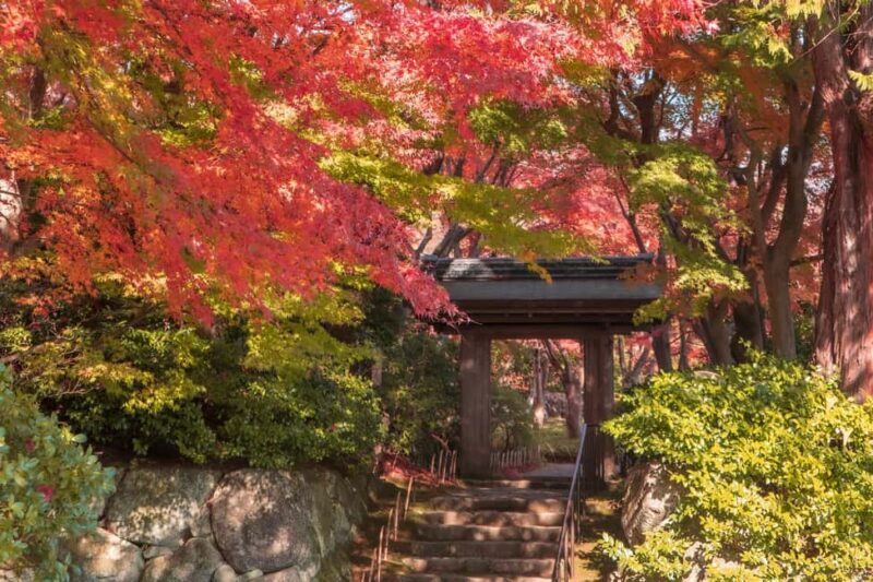 Atami: MOA Museum of Art Admission Package - Exploring the Atami: MOA Museum of Art Admission Package