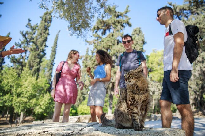 athens-acropolis-and-parthenon-walking-tour