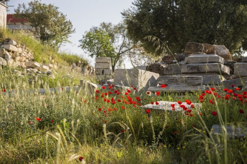 athens-acropolis-beat-the-crowds-afternoon-guided-tour