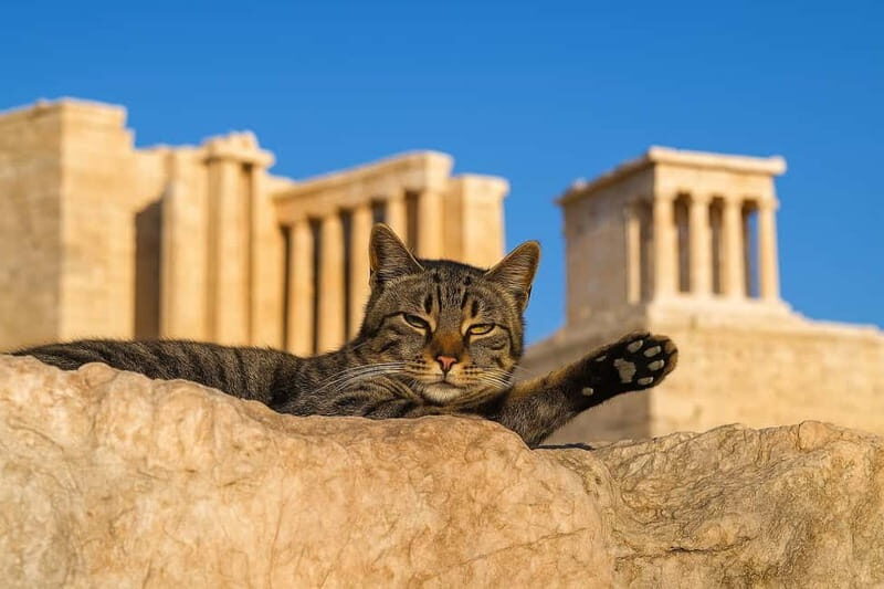 Athens: Acropolis Guided Tour with Skip-The-Line Tickets - Exploring the Itinerary in Detail