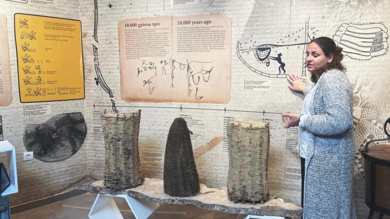 athens-ancient-corinth-nafplio-with-swim-honey-tasting-2