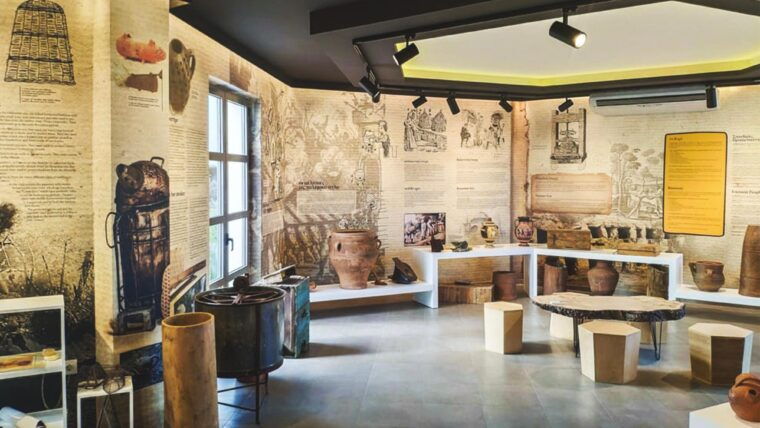 athens-ancient-corinth-nafplio-with-swim-honey-tasting-2