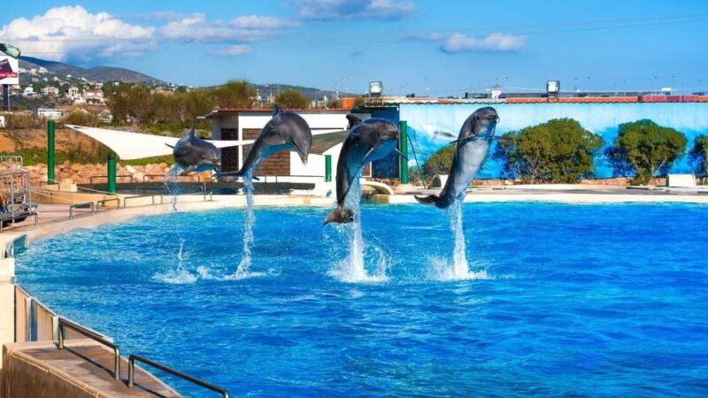 athens-attica-zoological-park-athens-national-garden-trip