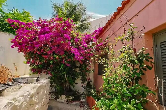 athens-beauty-4h-private-walking-tour