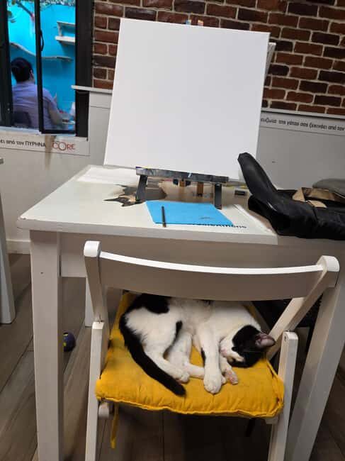 Athens: Cat Café Paint & Sip Experience - Who Would Love This Experience?