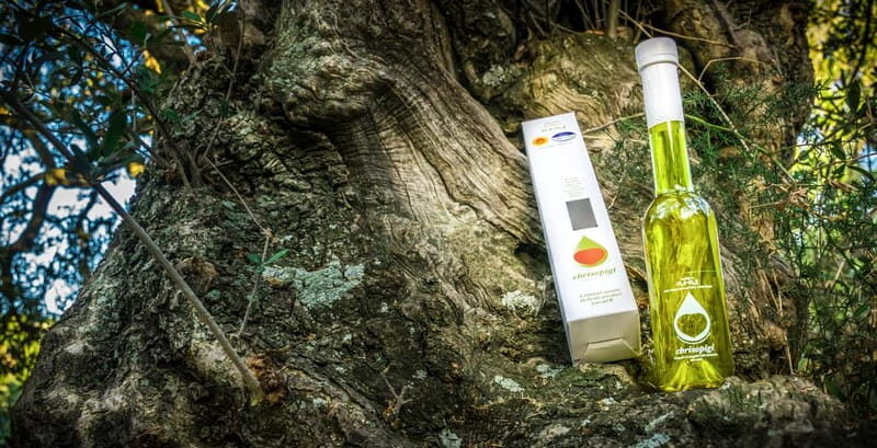 Athens: Experience Cretan Gastronomy Products - Who Should Book This Experience?