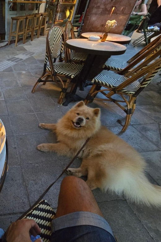 athens-explore-food-drink-and-the-center-with-an-ex-pat