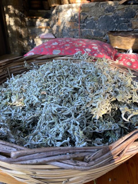 athens-greek-brunch-experience-with-amazing-views